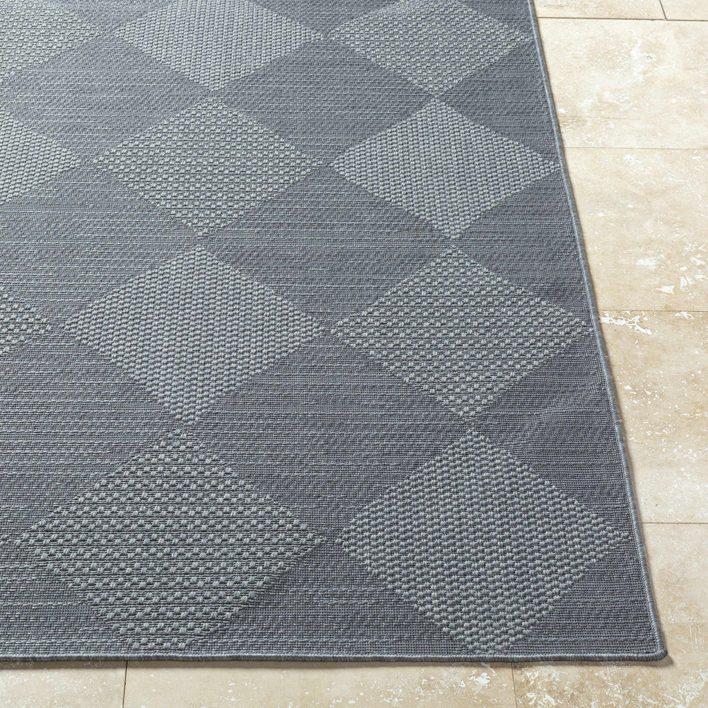 Aulani Outdoor Area Rug