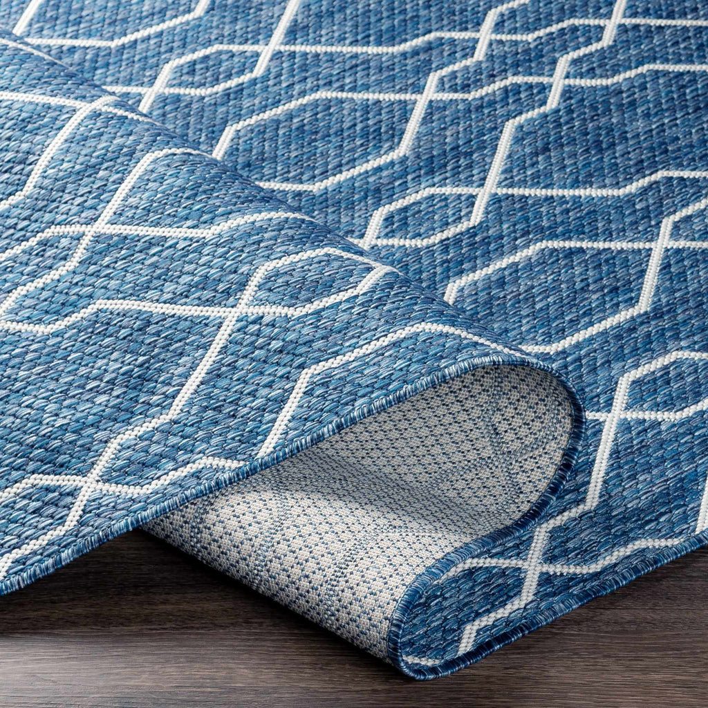 Aldford Outdoor Area Rug - Clearance
