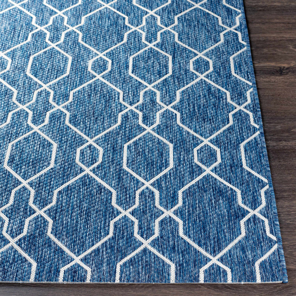 Aldford Outdoor Area Rug - Clearance