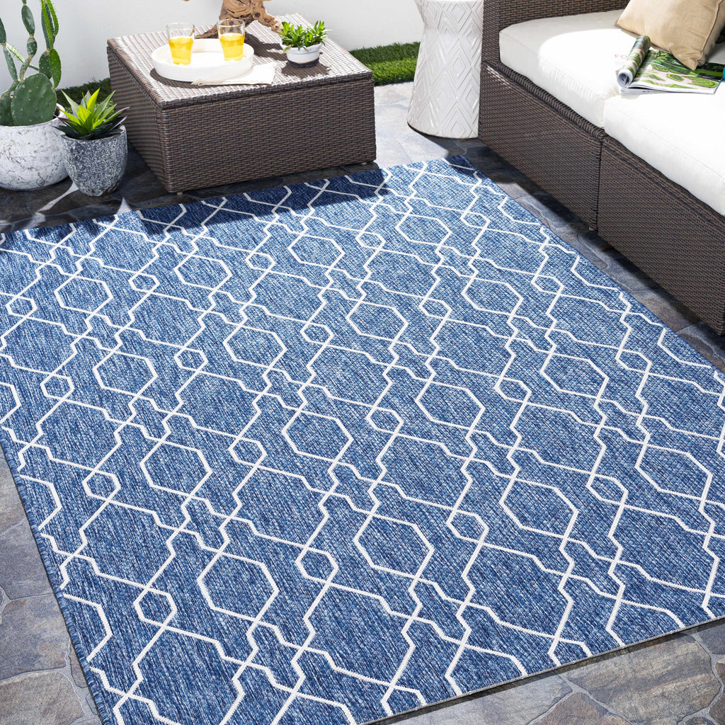 Aldford Outdoor Area Rug - Clearance