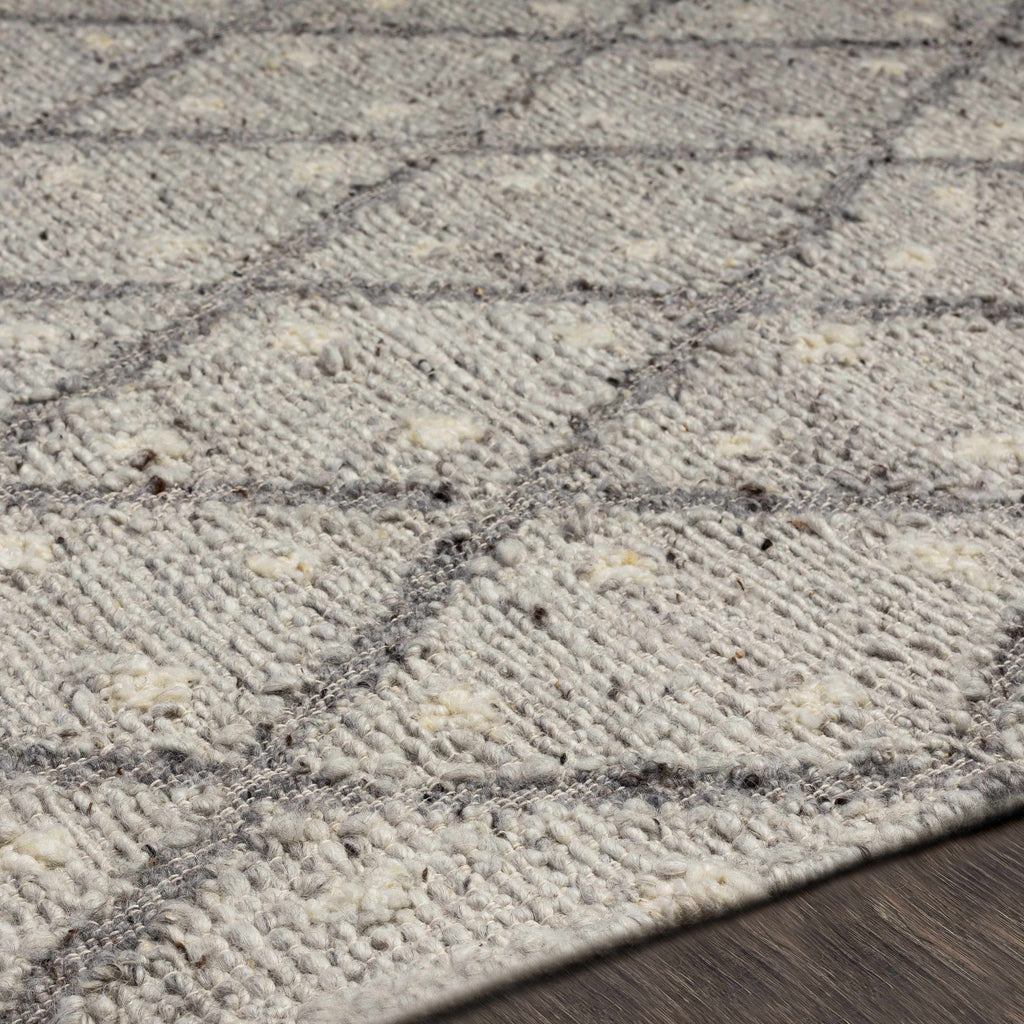 Aliaga Area Rug - Clearance
