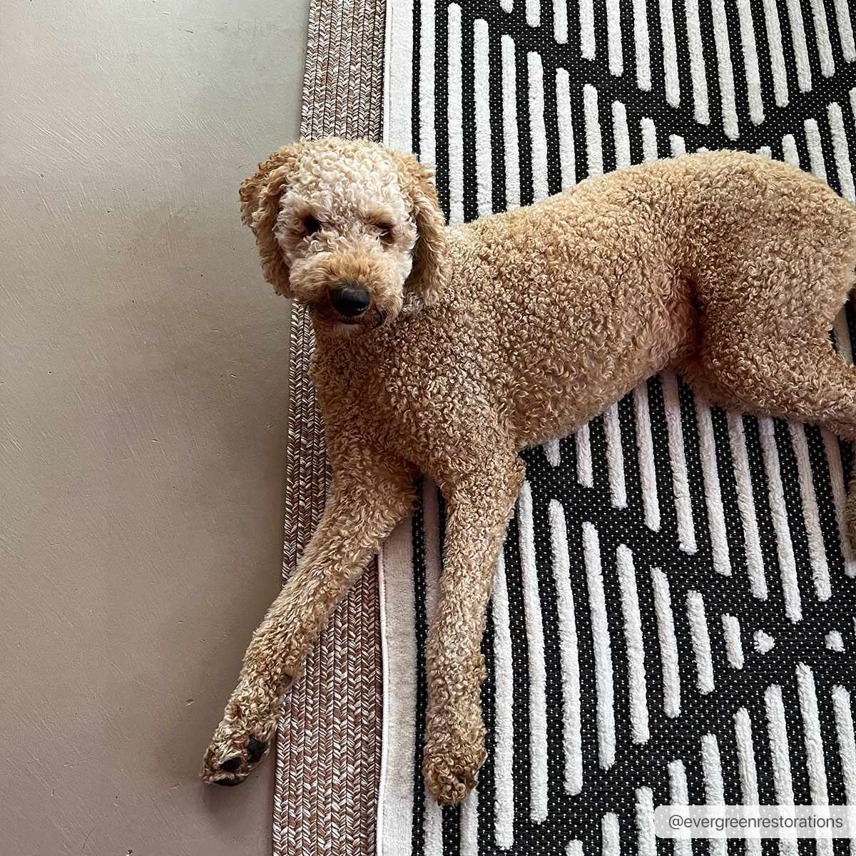 Anah 3D Black Outdoor Rug