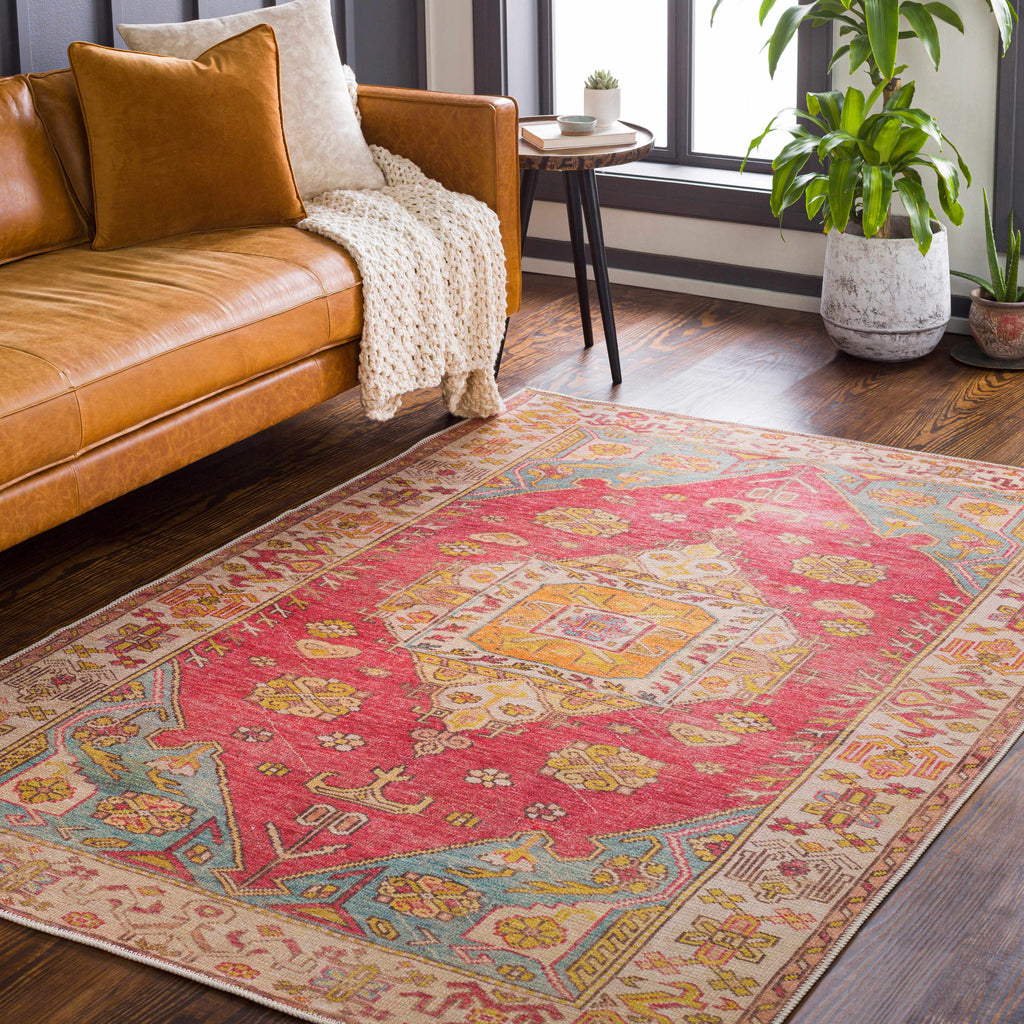 Anopog Washable Area Rug - Clearance