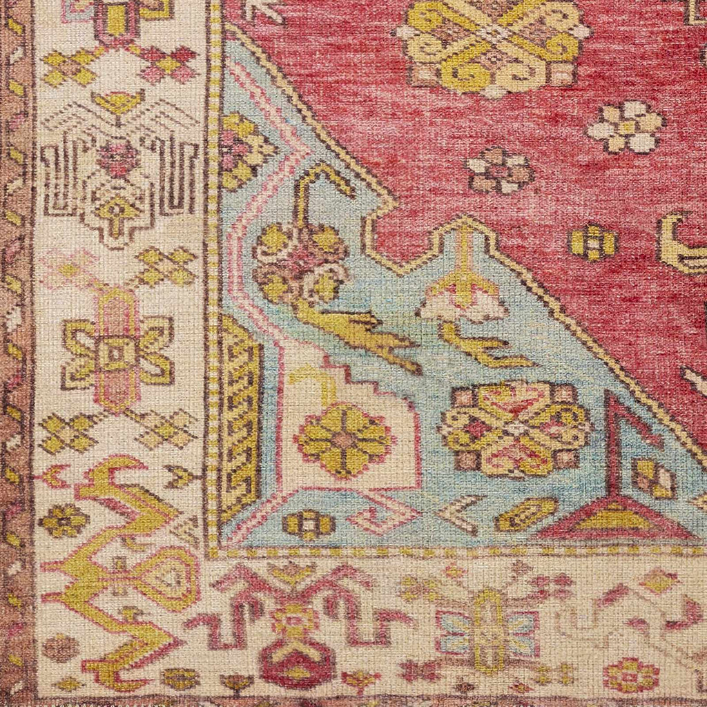 Anopog Washable Area Rug - Clearance