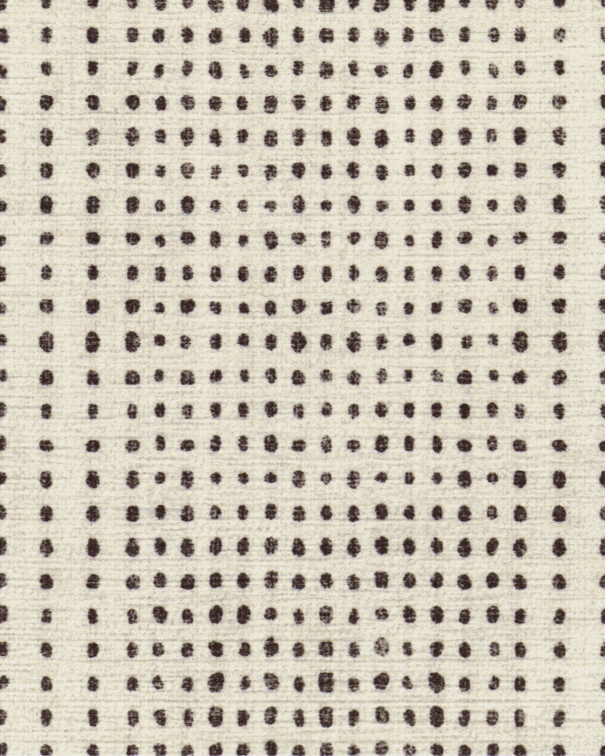 Array Black & Ivory Flatwoven Rug