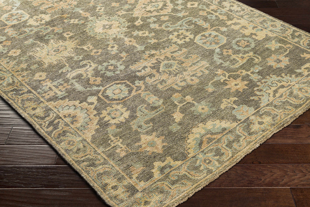 Asotin Hand Knotted Wool Area Rug - Clearance