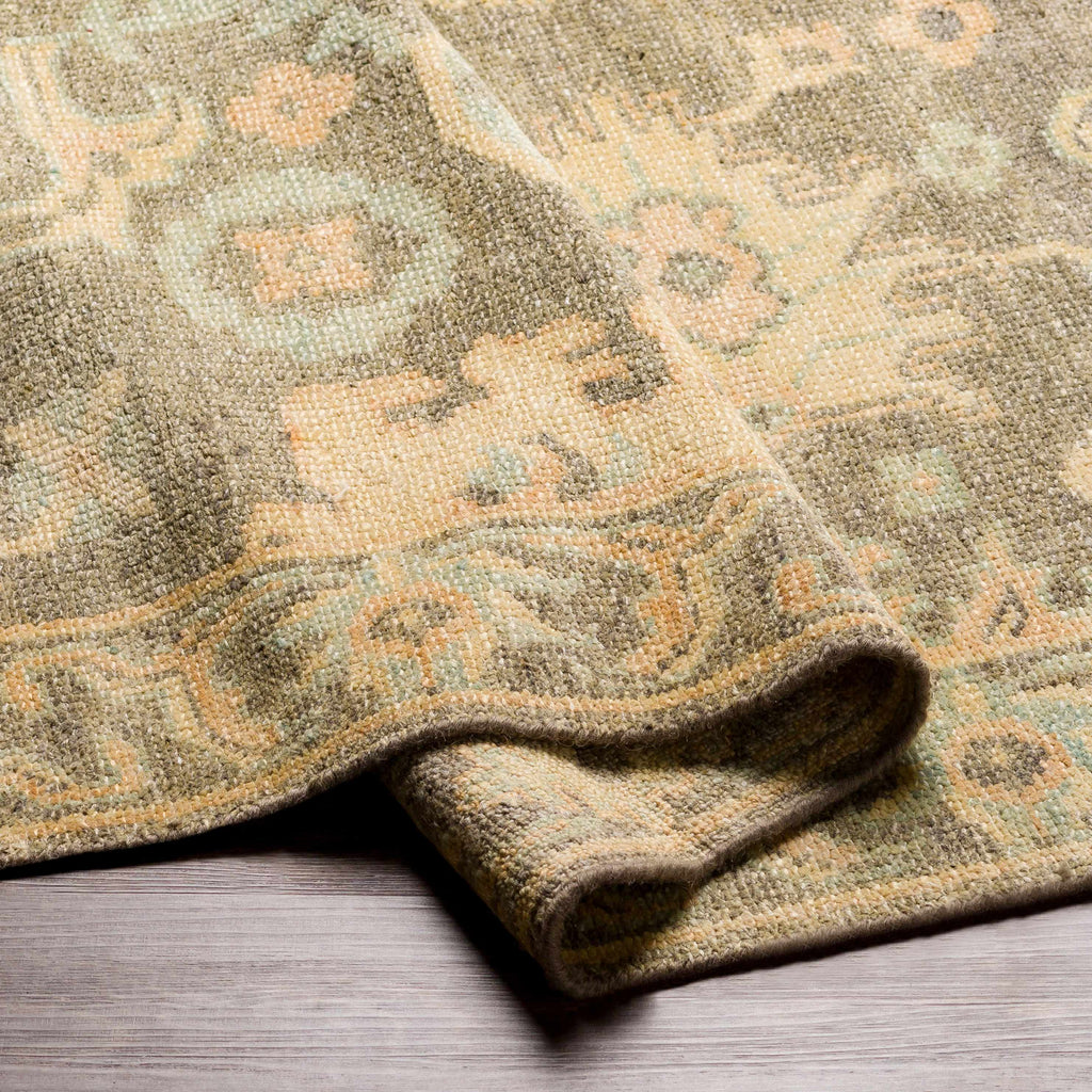 Asotin Hand Knotted Wool Area Rug - Clearance