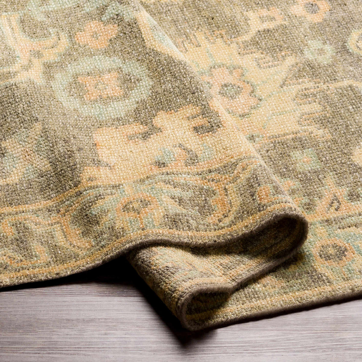 Asotin Hand Knotted Wool Area Rug - Clearance