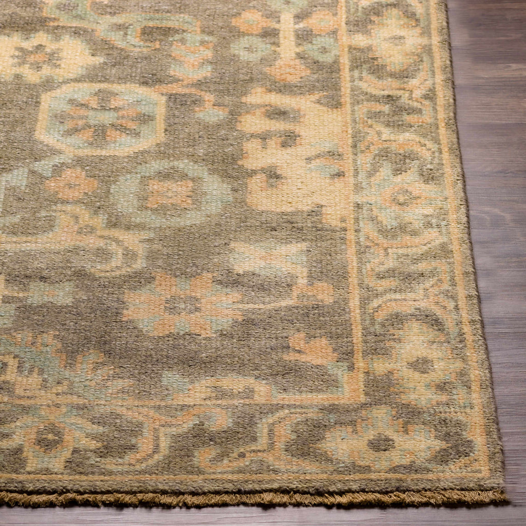 Asotin Hand Knotted Wool Area Rug - Clearance