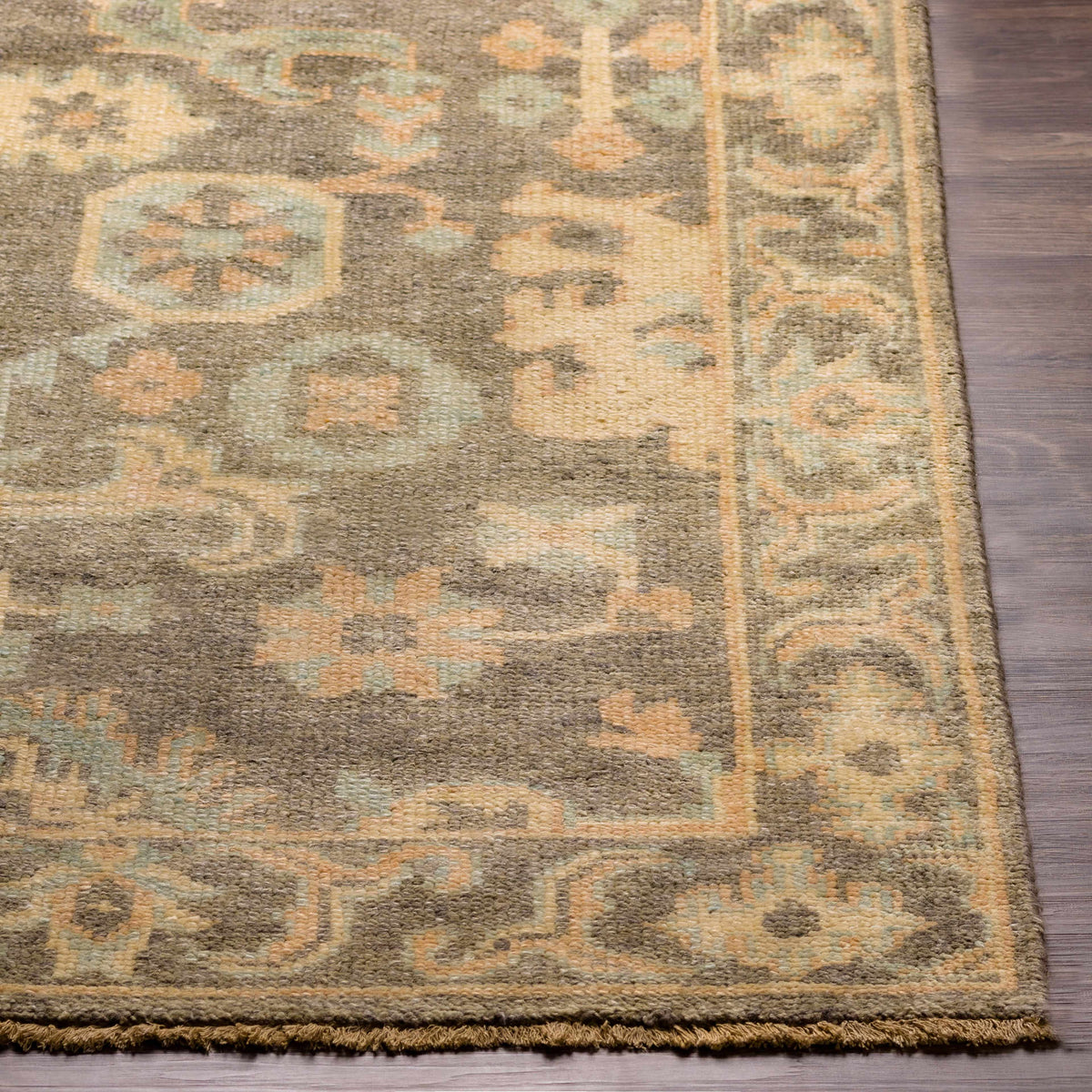 Asotin Hand Knotted Wool Area Rug - Clearance
