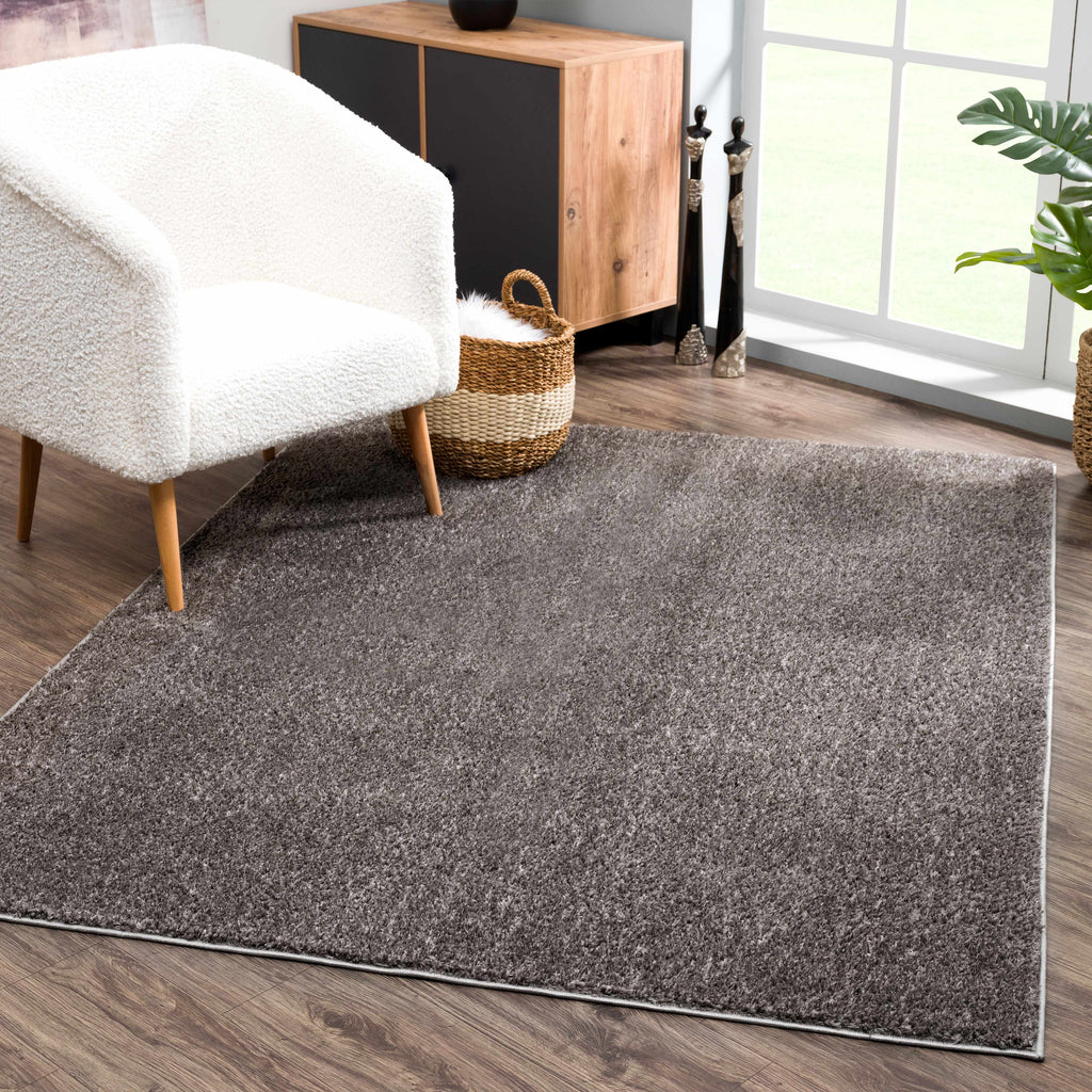 Judy Solid Dark Gray Washable Shag Rug