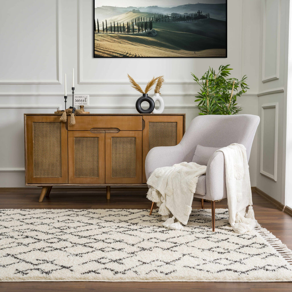 Pahala Moroccan Shag Area Rug - Clearance