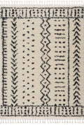 Hauppauge Berber Shag Carpet - Clearance
