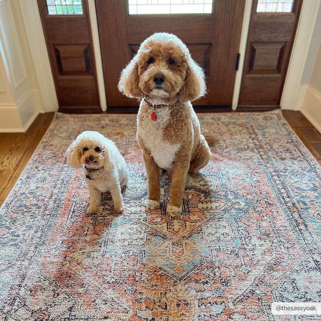 Beck Peach Washable Area Rug - Clearance