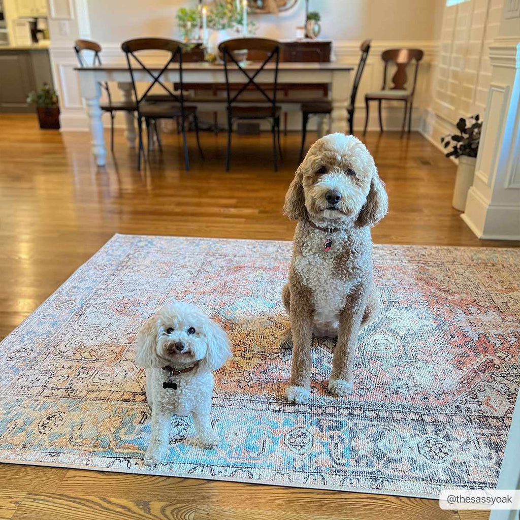 Beck Peach Washable Area Rug - Clearance
