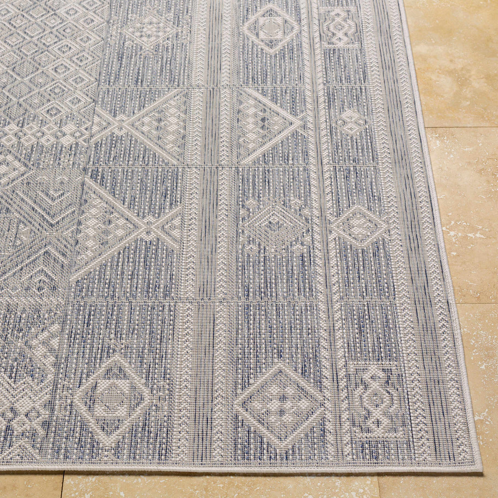 Malamig Gray Outdoor Area Rug - Clearance