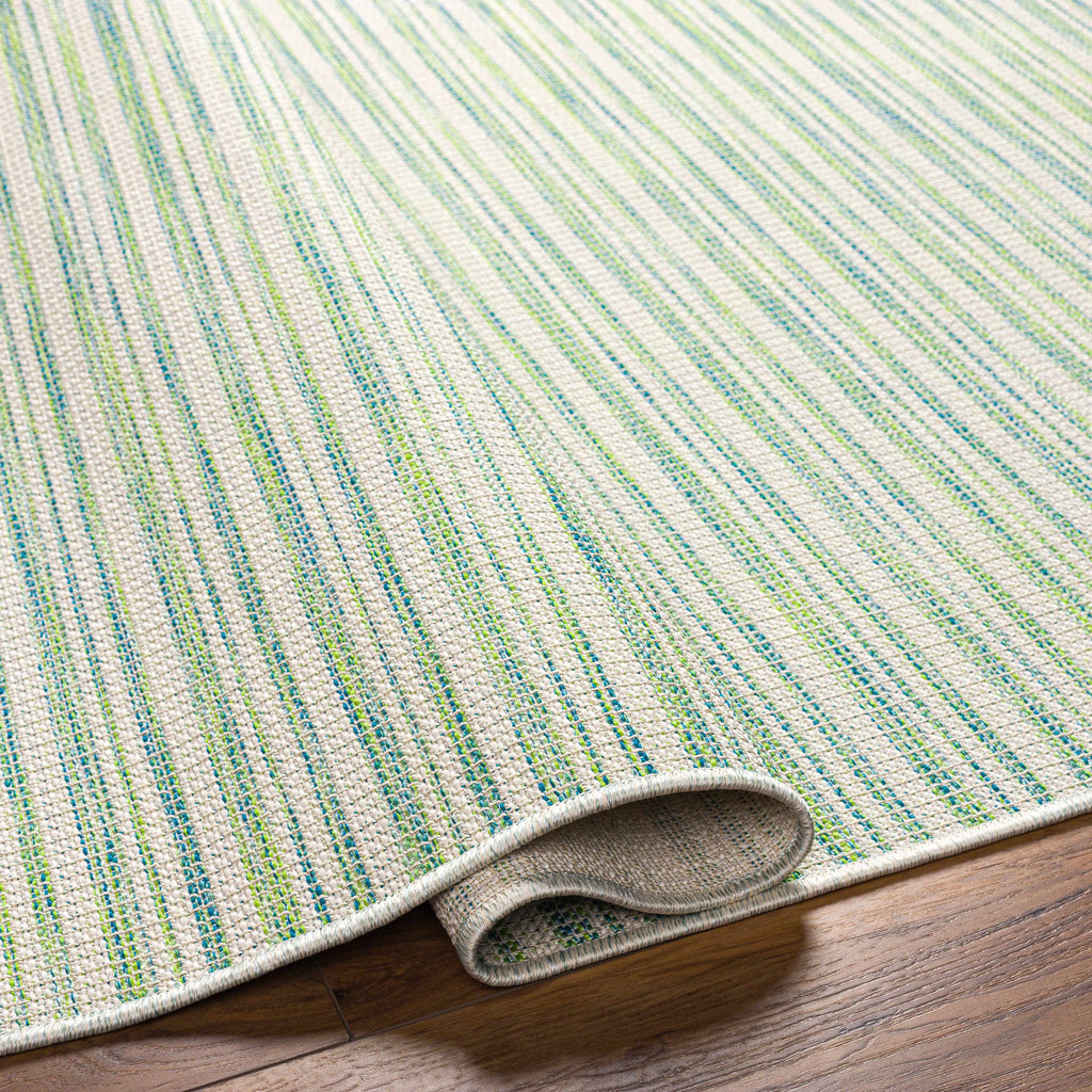 Greg Green Outdoor Area Rug - Clearance