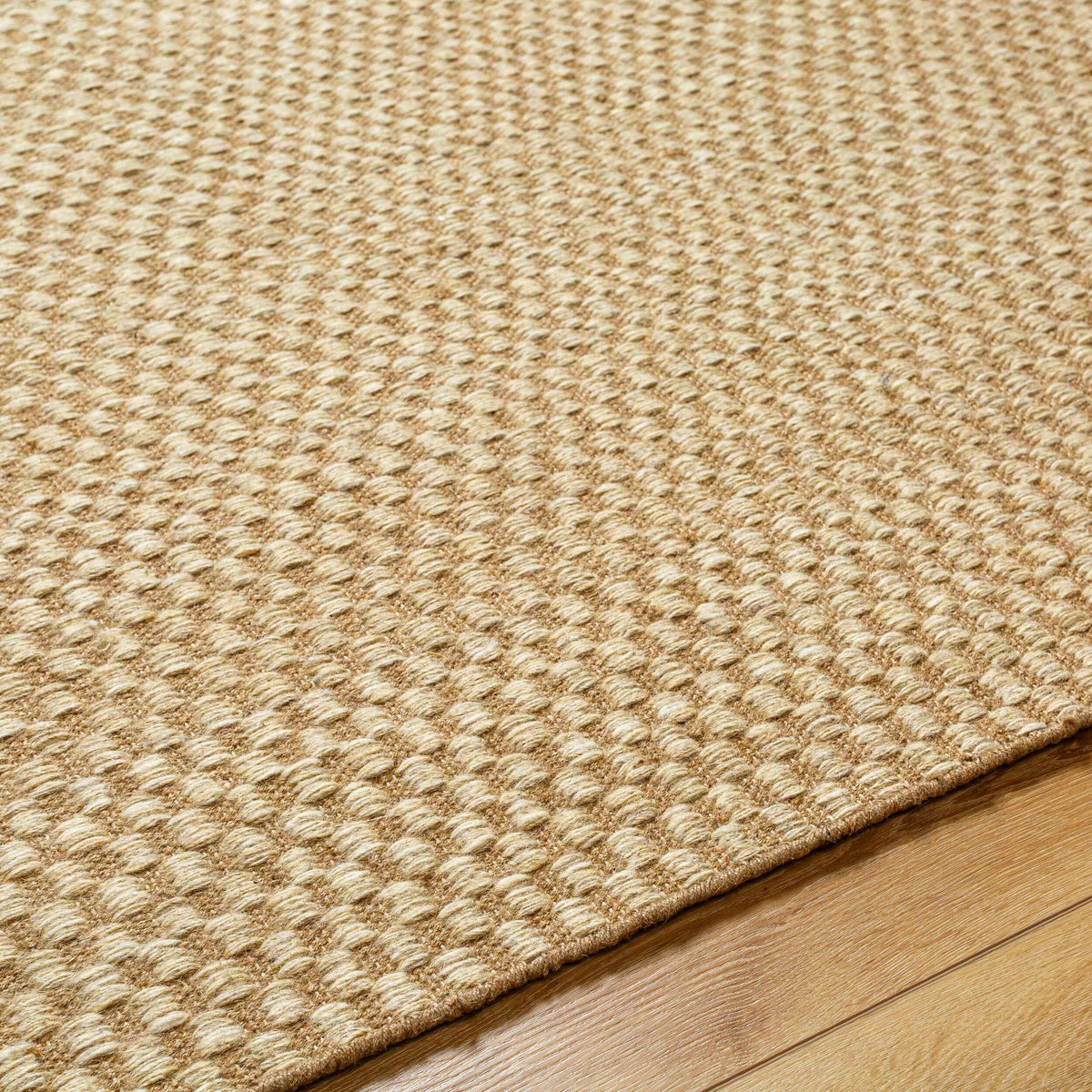 Ayers Beige Area Rug - Clearance