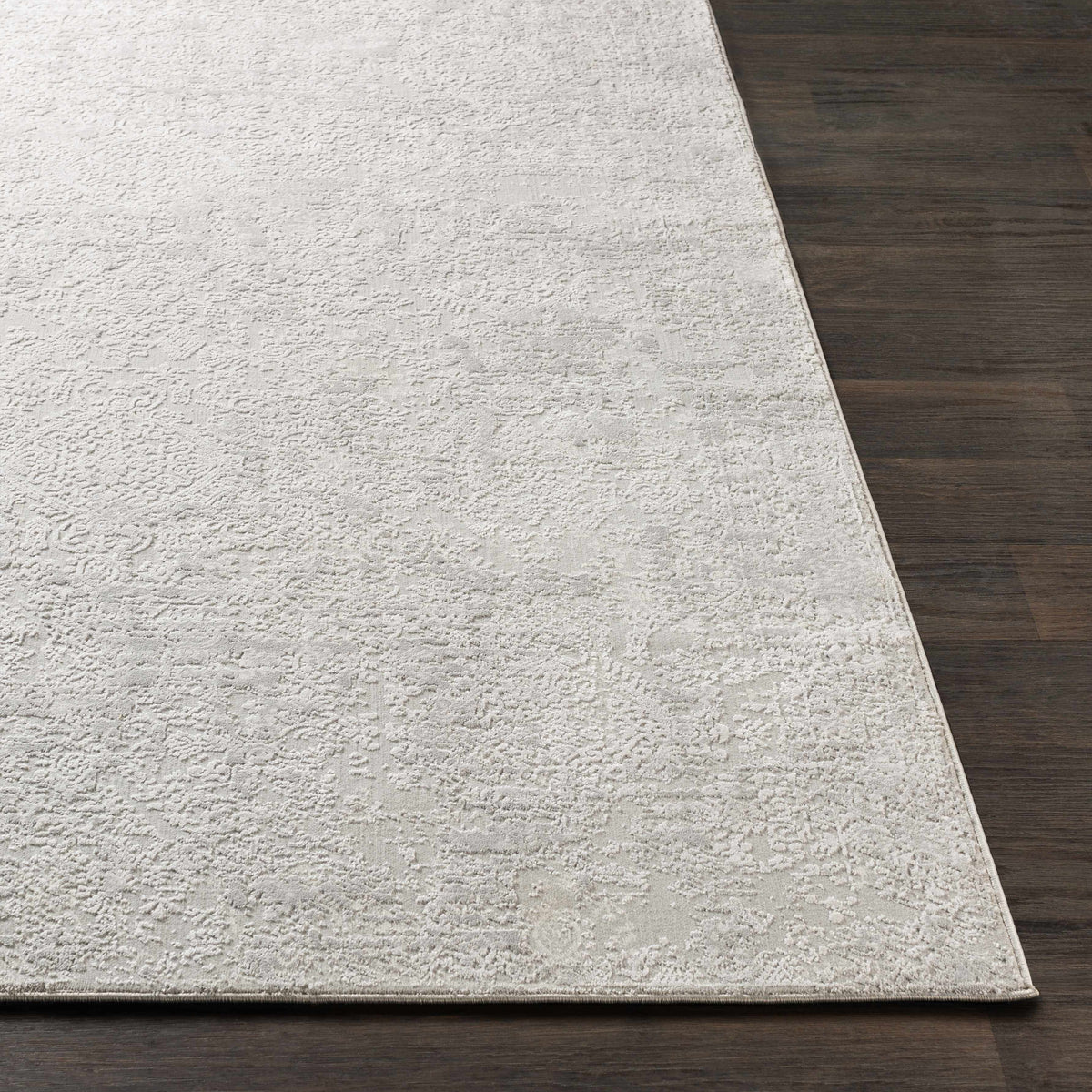 Canaseraga Area Rug - Clearance