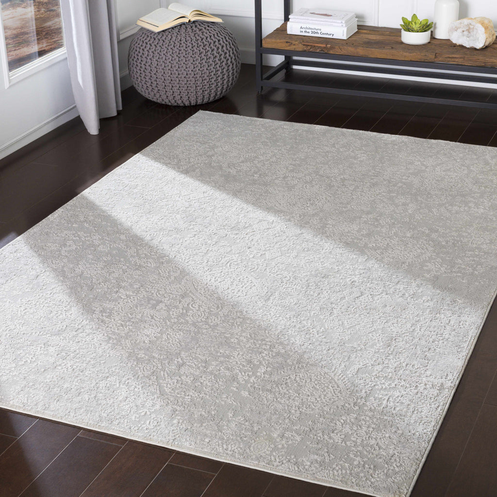 Canaseraga Area Rug - Clearance