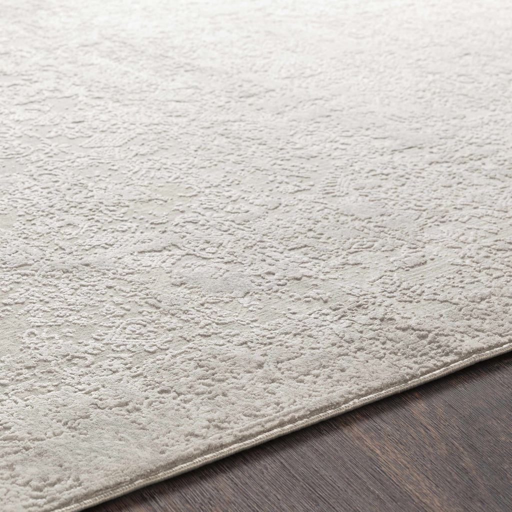 Canaseraga Area Rug - Clearance