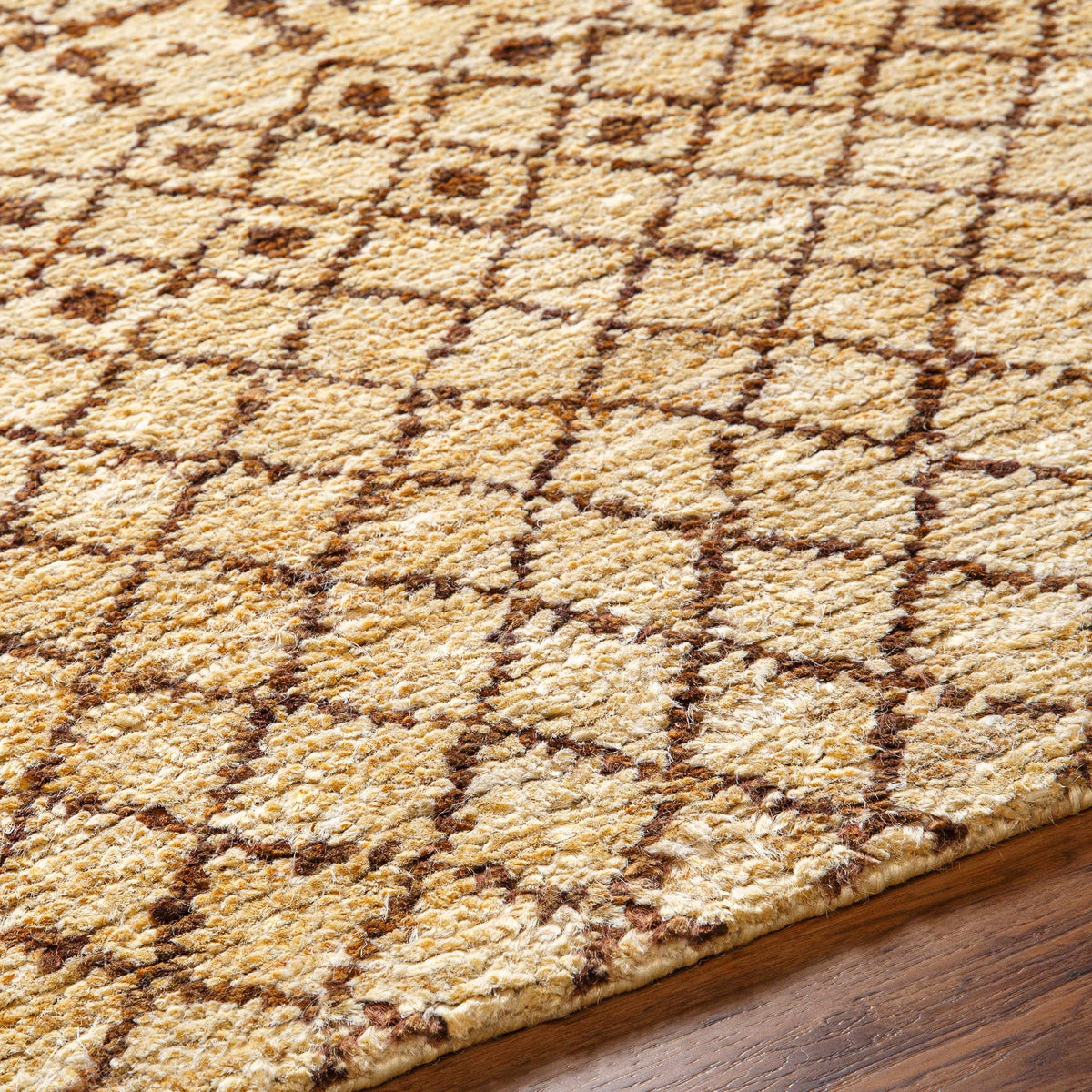 Ceron Area Rug - Clearance