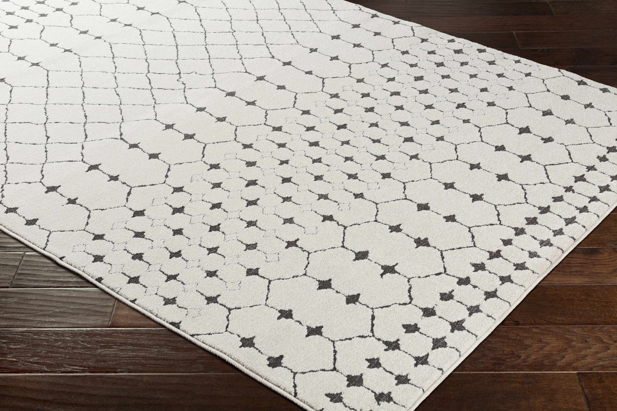 Chubbuck Moroccan Trellis Rug - Clearance
