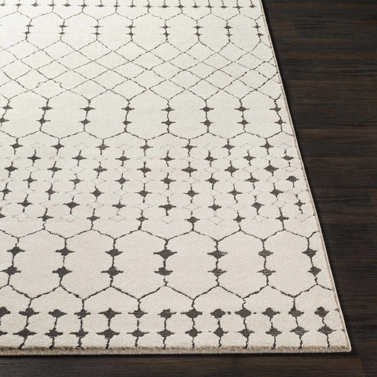 Chubbuck Moroccan Trellis Rug - Clearance