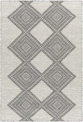 Claveria Area Carpet - Clearance