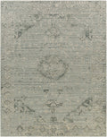 Davilla Area Rug - Clearance
