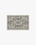 Delphina Black & White Rug