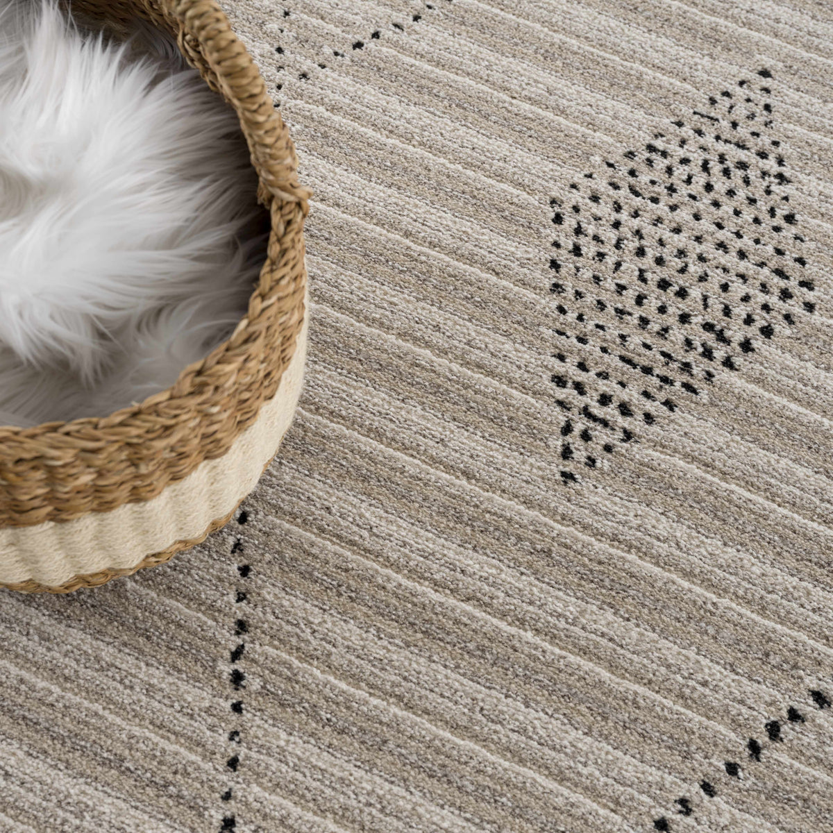 Lexi Area Rug - Clearance