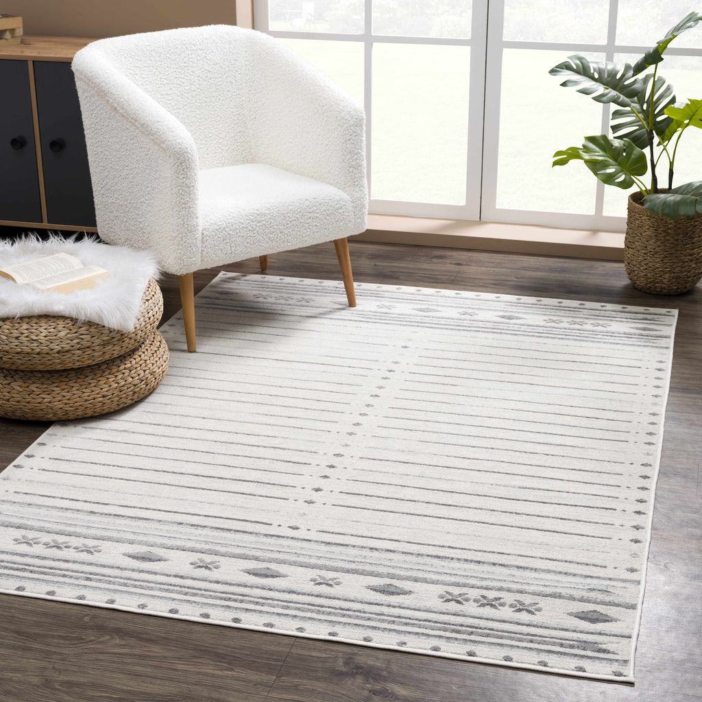 Tigri Aztec Ivory & Gray 2325 Area Rug - Clearance