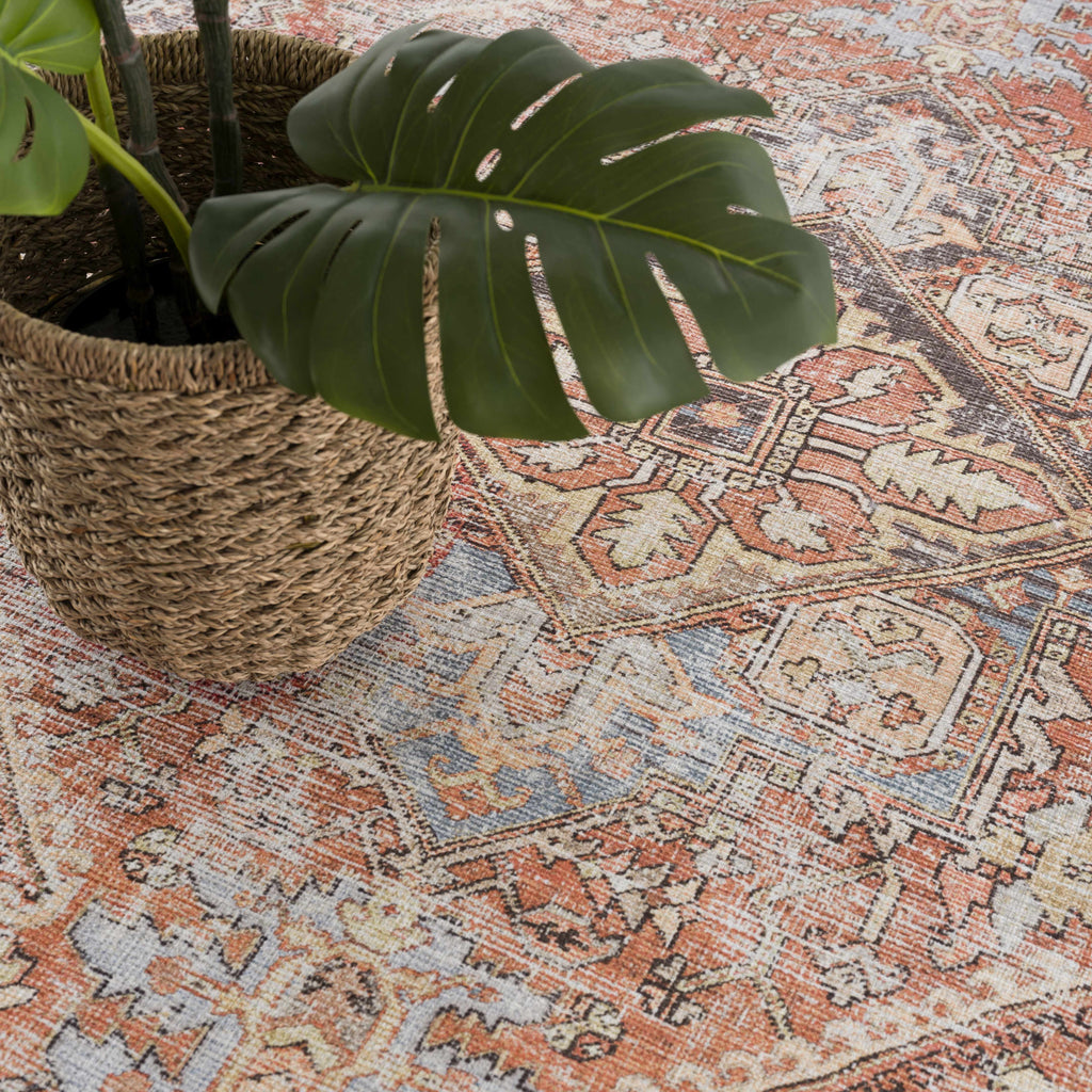 Eira Distressed Washable Rug