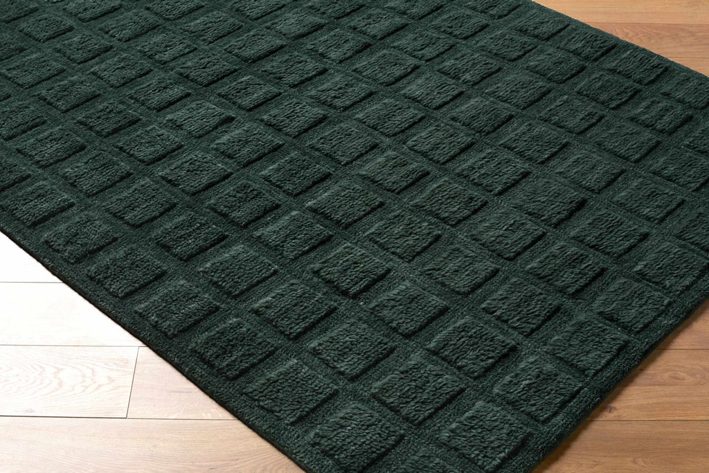 Janina Washable Area Rug