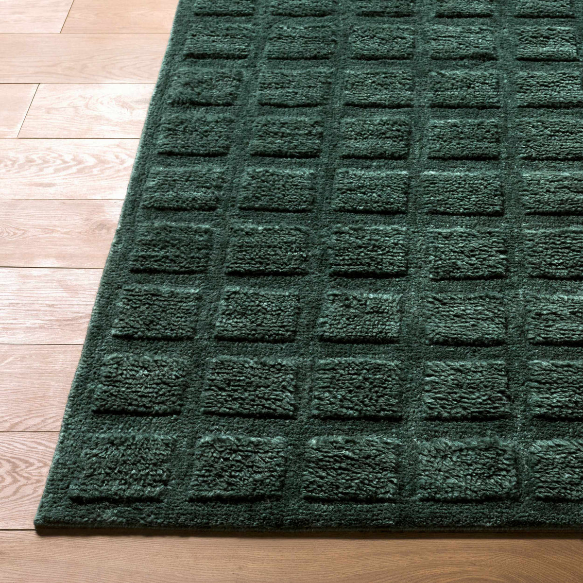 Janina Washable Area Rug