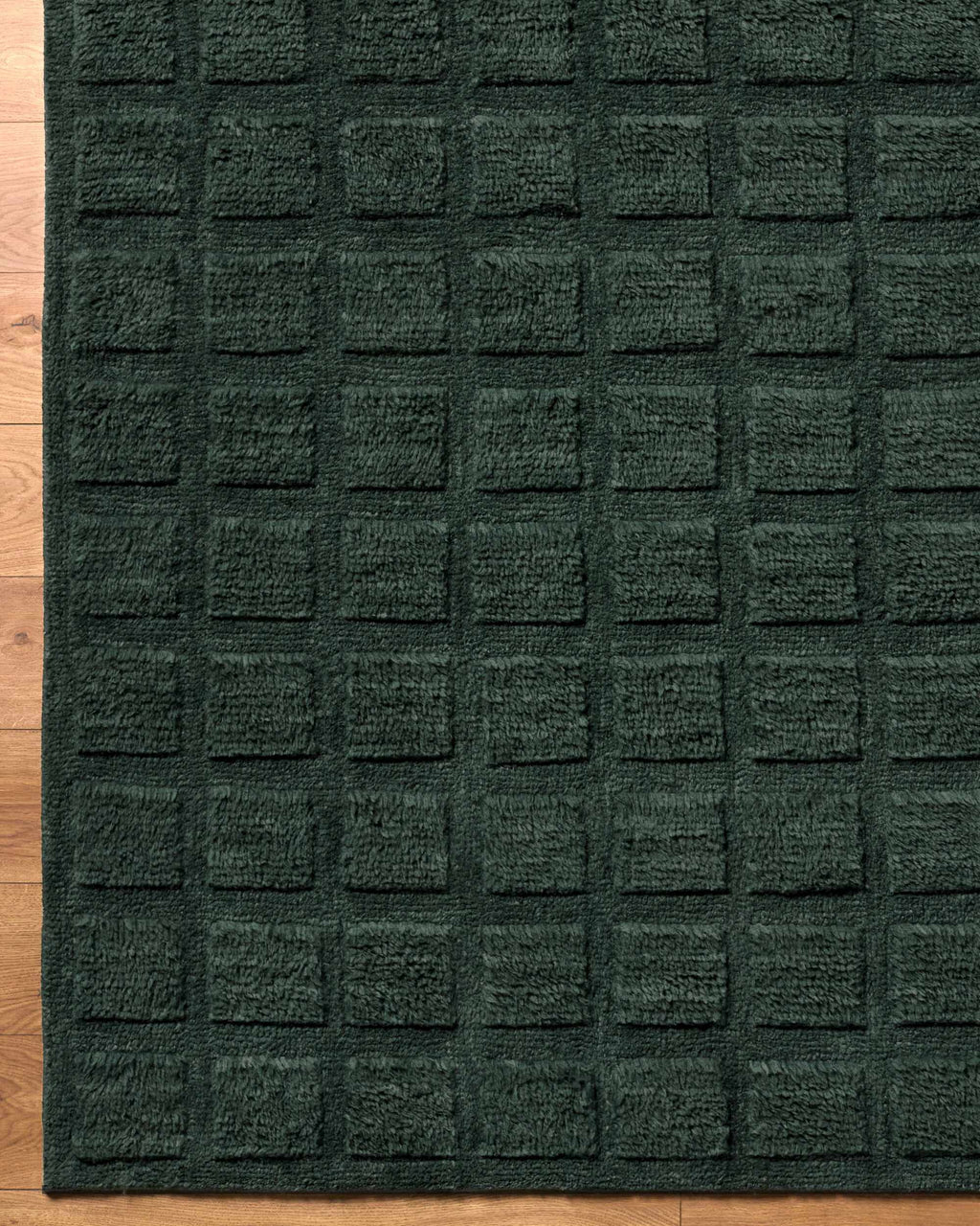 Janina Washable Area Rug