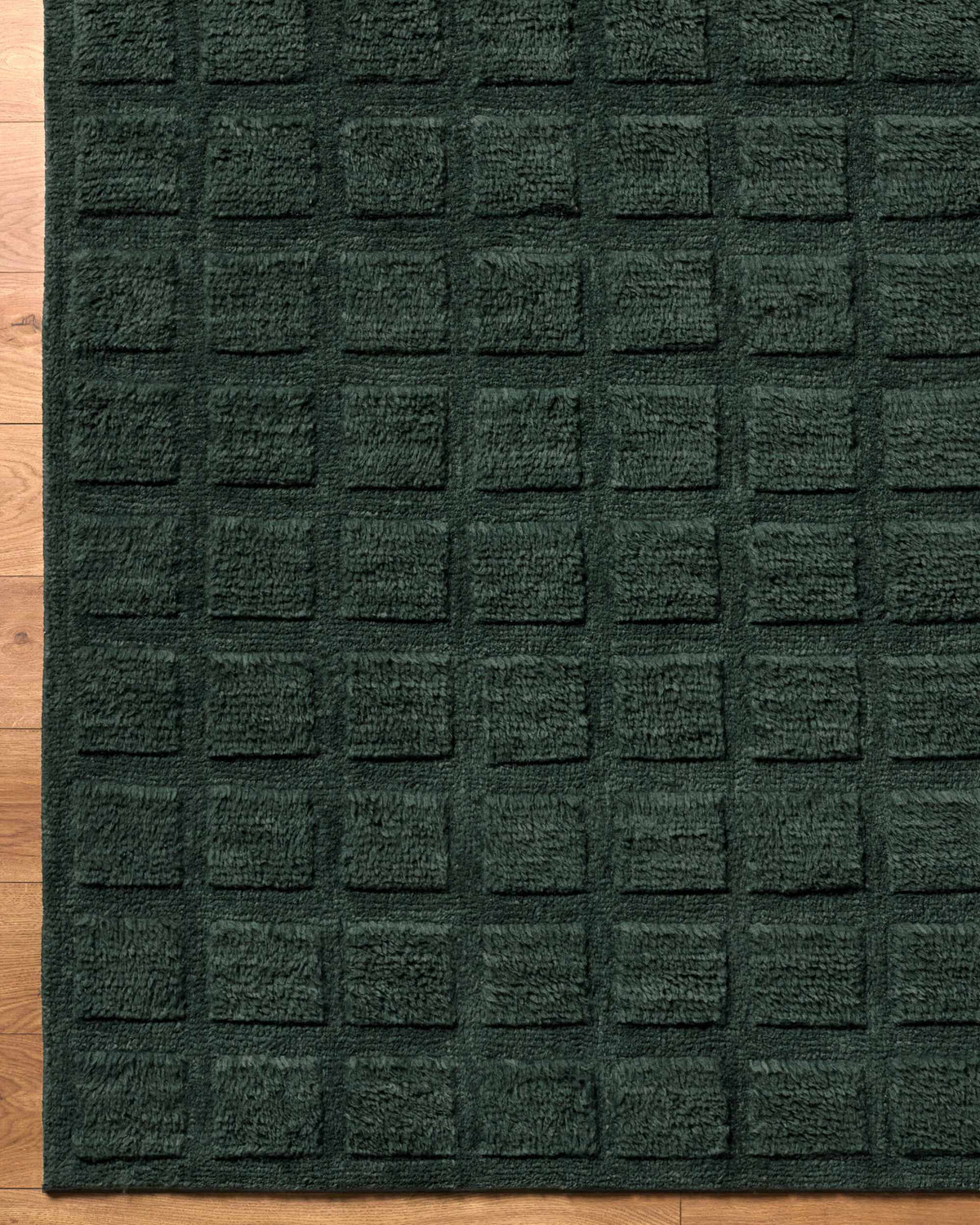Janina Washable Area Rug