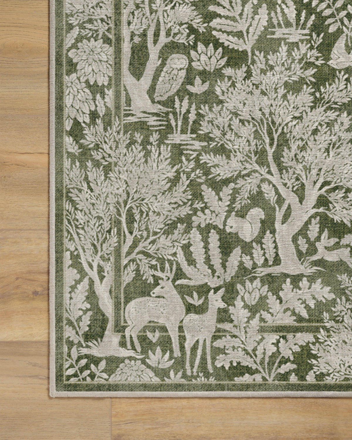 Elowen Olive Flatwoven Rug