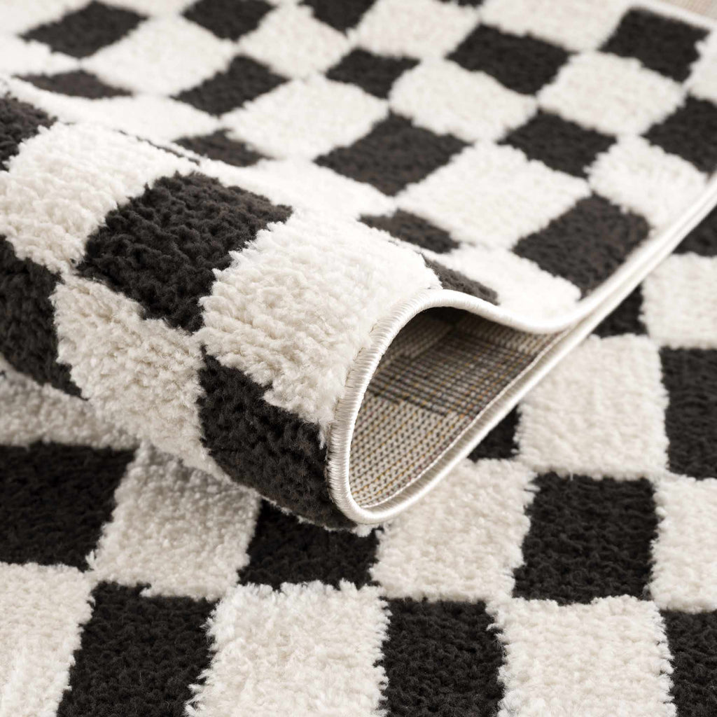 Lajos Black & White Checkered Plush Rug
