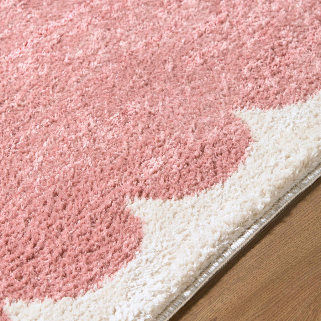 Hera Pink Border Machine Woven Polyester Washable Area Rug