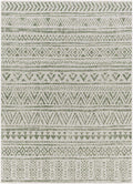 Novato Olive All Over Pattern Performance Outdoor Rug