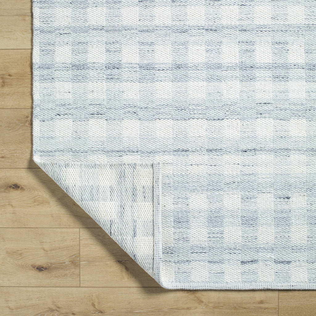 Garth Light Slate Area Rug