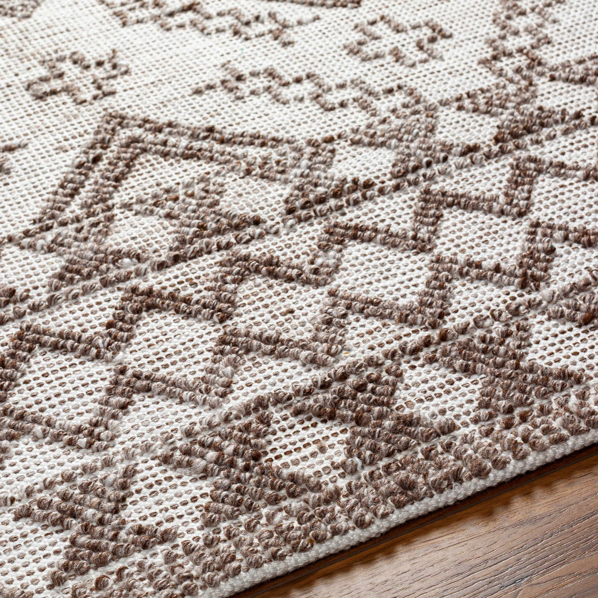 Hanh Area Rug - Clearance