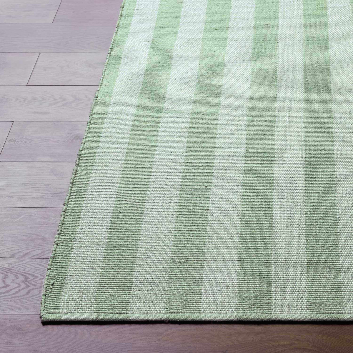 Carpeneto Green Striped Outdoor Area Rug