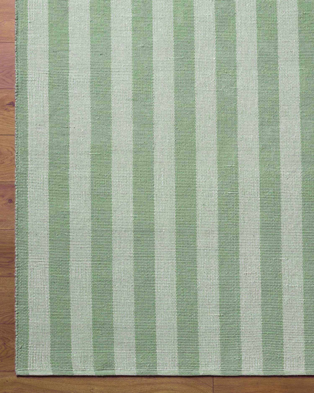 Carpeneto Green Striped Outdoor Area Rug