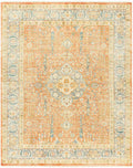 Hien Area Rug - Clearance