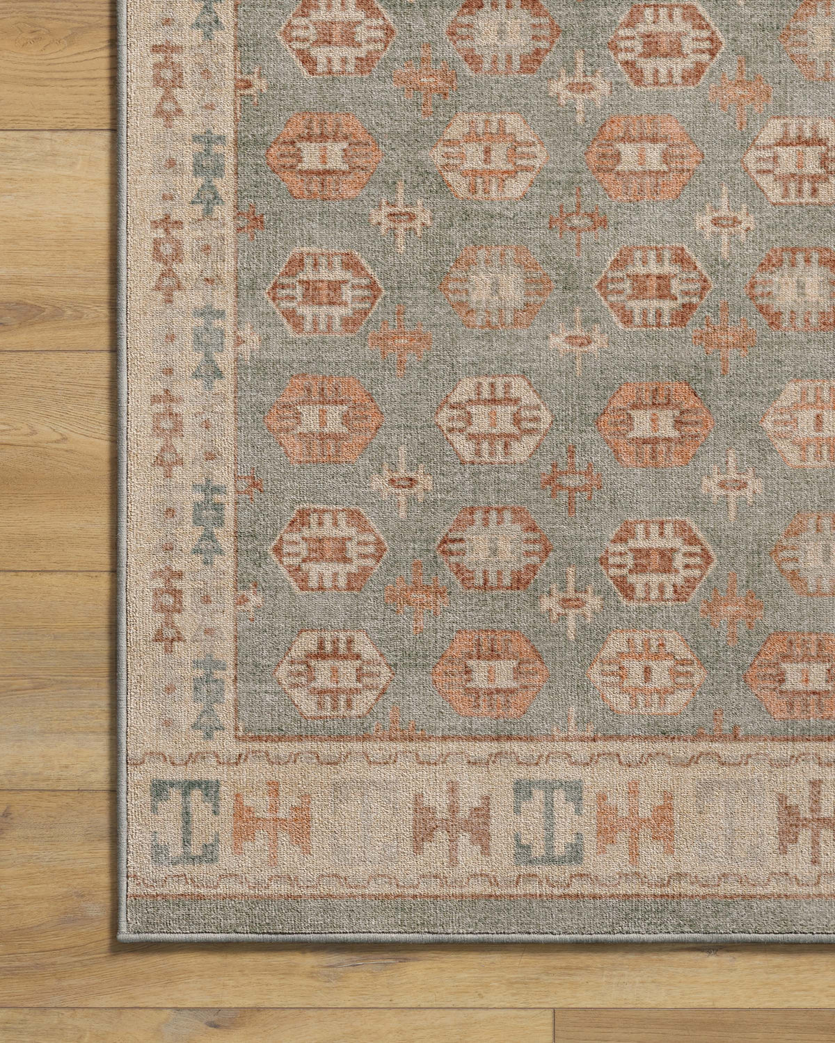 Indira Sage & Terracotta Rug