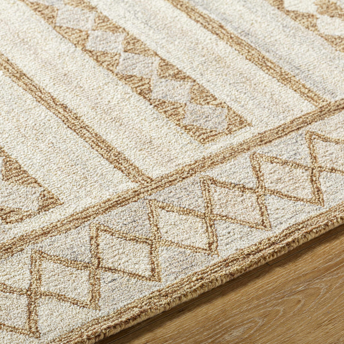 Adarsh Area Rug