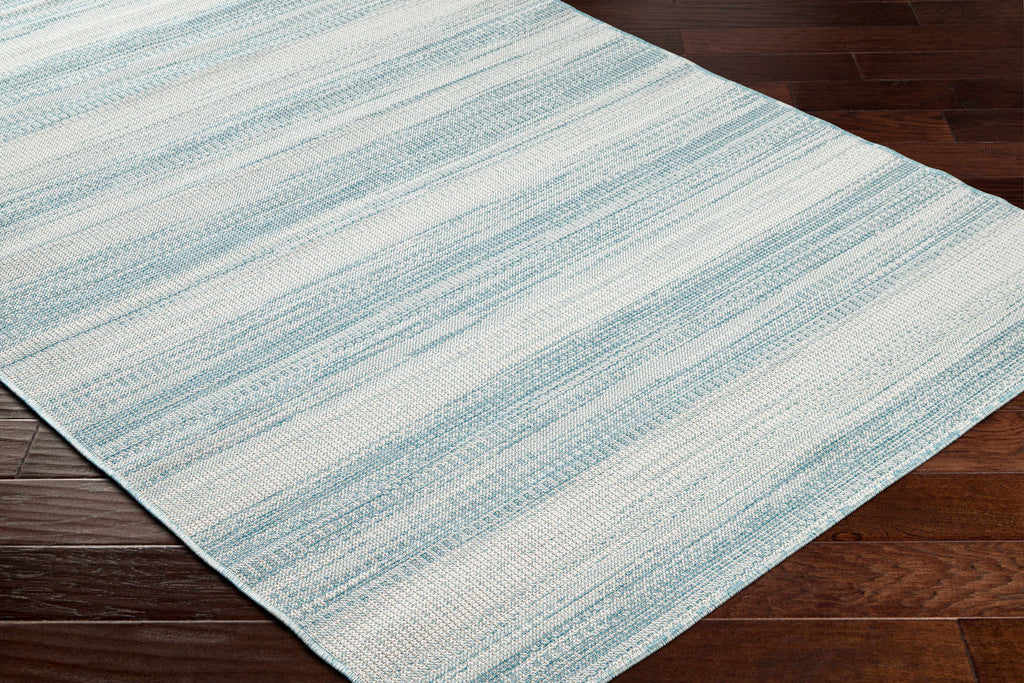 Kris Teal Outdoor Area Rug - Clearance